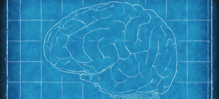 An illustration of a brain on a blue background representing how alcohol affects sleep.